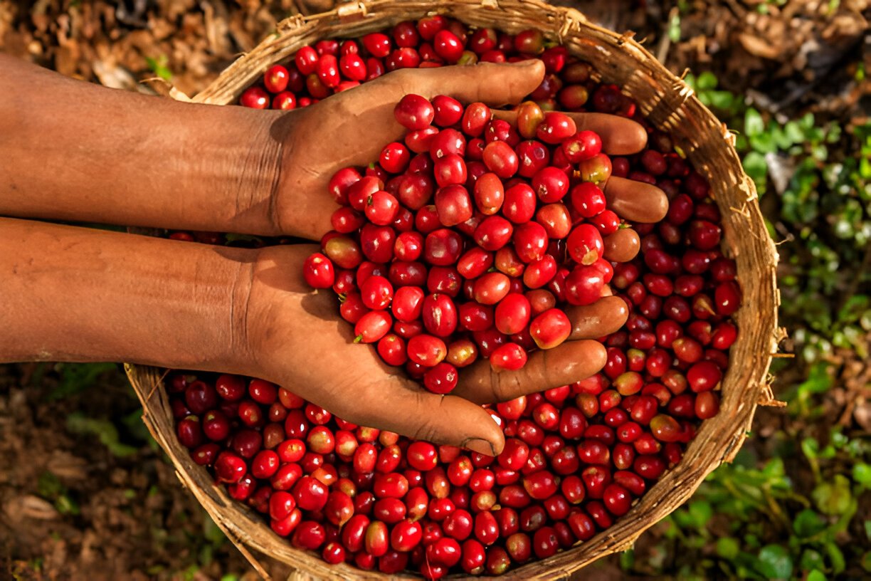 Nkoma%20Commodities%20Ltd
