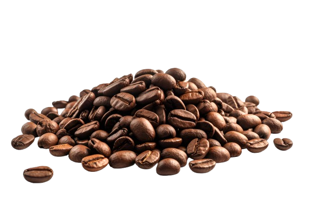 Nkoma Commodities Ltd